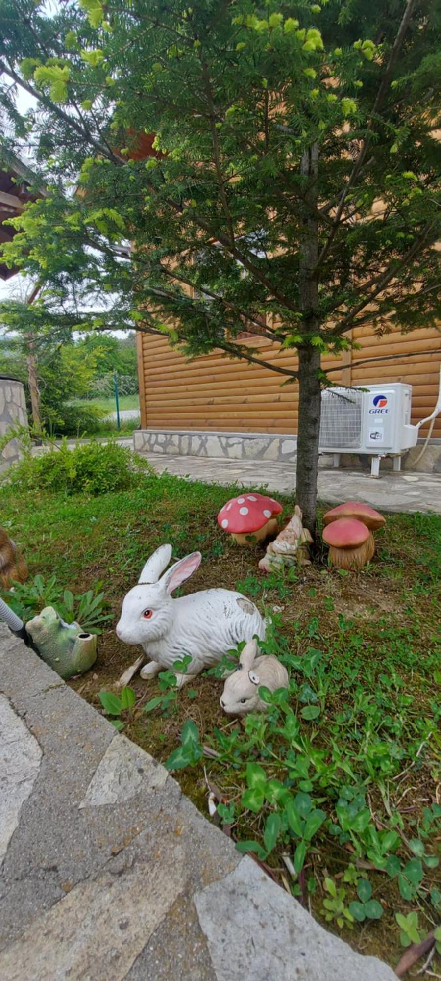 Mini Complex Rilski Terasi 사파레바바냐 외부 사진