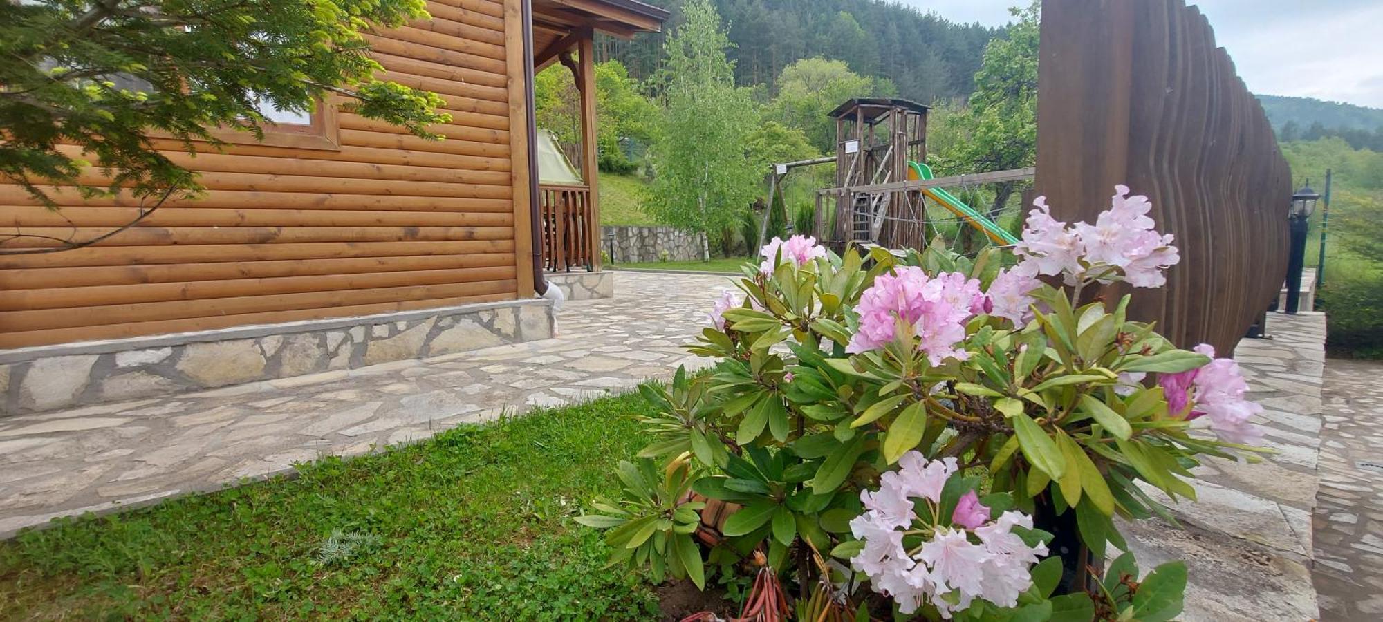Mini Complex Rilski Terasi 사파레바바냐 외부 사진